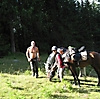 Pferd Alpin_16